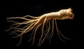 Ginseng root isolated on dark background. Healthy time. AI generated Royalty Free Stock Photo