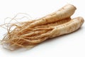 Ginseng root isolated on white background side view close-up. Royalty Free Stock Photo