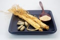 Ginseng root powder for capsules medicine Royalty Free Stock Photo