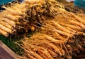 Ginseng root stick Royalty Free Stock Photo