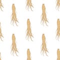 Ginseng root on white background simple seamless pattern