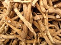 Ginseng roots from Chinese herbal pharmacy Royalty Free Stock Photo