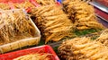 Ginseng sticks Royalty Free Stock Photo
