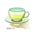 Ginseng tea. Health herb food medicine concept on white background. Vector illustration