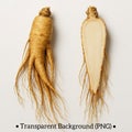 Ginseng, whole and split, transparent background Royalty Free Stock Photo