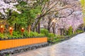 Gion Shirakawa, Kyoto, Japan in Spring Royalty Free Stock Photo