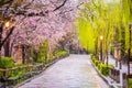 Gion Shirakawa, Kyoto, Japan in Spring Royalty Free Stock Photo