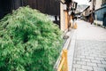 Gion street Japanese traditional alley in Kyoto, Japan