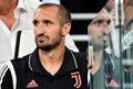 Giorgio Chiellini Royalty Free Stock Photo