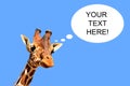 GIRAFA thinking. picture for wallpaper or comic Royalty Free Stock Photo