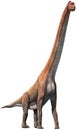 Giraffatitan 3D illustration Royalty Free Stock Photo