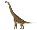 Giraffatitan dinosaur - 3D render Royalty Free Stock Photo