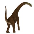 Giraffatitan Dinosaur Tail