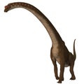 Giraffatitan Dinosaur on White