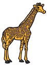 Giraffe