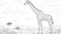 Giraffe in Savannah Sketch Royalty Free Stock Photo
