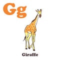 G for Giraffe