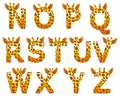 Giraffe alphabet set from N to Z Royalty Free Stock Photo