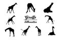 Giraffe animal silhouettes Royalty Free Stock Photo