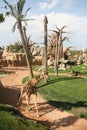 Giraffe in biopark