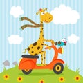 Giraffe bird riding on scooter