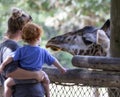 Visitors in Brevard Zoo looking at giraffe