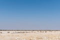 Giraffe, Burchells zebras, oryx at waterhole in North-Western Na