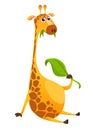 Cartoon giraffe character. Vector illustration Royalty Free Stock Photo