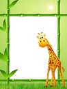 Giraffe cartoon Royalty Free Stock Photo