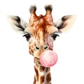 Giraffe with chewing gum isolated on white background. Watercolor cartoon illustration