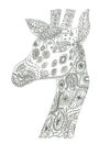 Giraffe coloring page