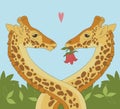 Giraffe Couple Royalty Free Stock Photo