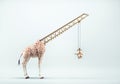 Giraffe with crane instead of neck lifting his head. Self development and self esteem concept