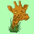 Giraffe Cute Animal Face Isolated Flat Cartoon Head. Vector Camelopard Funny Childish Mask