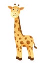 Giraffe . Cute isolated cartoon vector