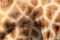 Giraffe detail Royalty Free Stock Photo