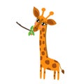 Giraffe eating leaves animal cartoon character vector illustration