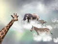 The giraffe, elephant, zebra above white clouds in gray sky Royalty Free Stock Photo