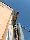 A giraffe with an elongated long spotted neck peeks out of the enclosure at the zoo. The head of a large hoofed African animal