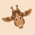 giraffe face head vector illustration style