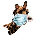 Giraffe face in a medical virus mask