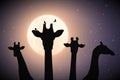 Giraffe family. Funny animal head silhouette. Full moon in night sky Royalty Free Stock Photo