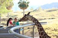 Giraffe feeding area at the Palm Springs Zoo Royalty Free Stock Photo