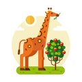 Giraffe with fruits bush Royalty Free Stock Photo