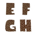 Giraffe fur alphabet - letters E-H Royalty Free Stock Photo