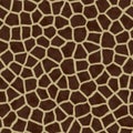 Giraffe fur seamless texture Royalty Free Stock Photo