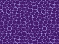 Giraffe fur skin pattern, carpet Giraffe hairy print background, purple and violet theme color texture, look smooth, fluffly.
