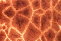 Giraffe fur skin pattern with spots Royalty Free Stock Photo