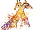 Giraffe. Giraffe illustration watercolor Royalty Free Stock Photo