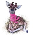 Giraffe, glasses and scarf. Watercolor painting